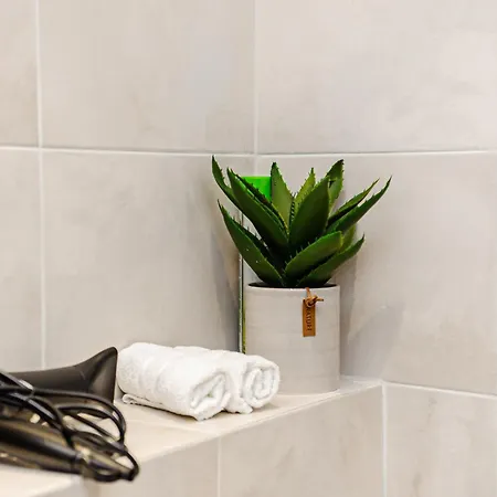Apartament Luxury Ultracentral Skyhouse